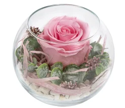 Dehner Konservierte Rosen > Kugelglas mit Longlife-Rose Doris, , ca. Ø10/H12 cm