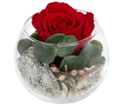 Dehner Kugelglas mit Longlife-Rose Amelie, , ca. Ø10/H10 cm Outlet