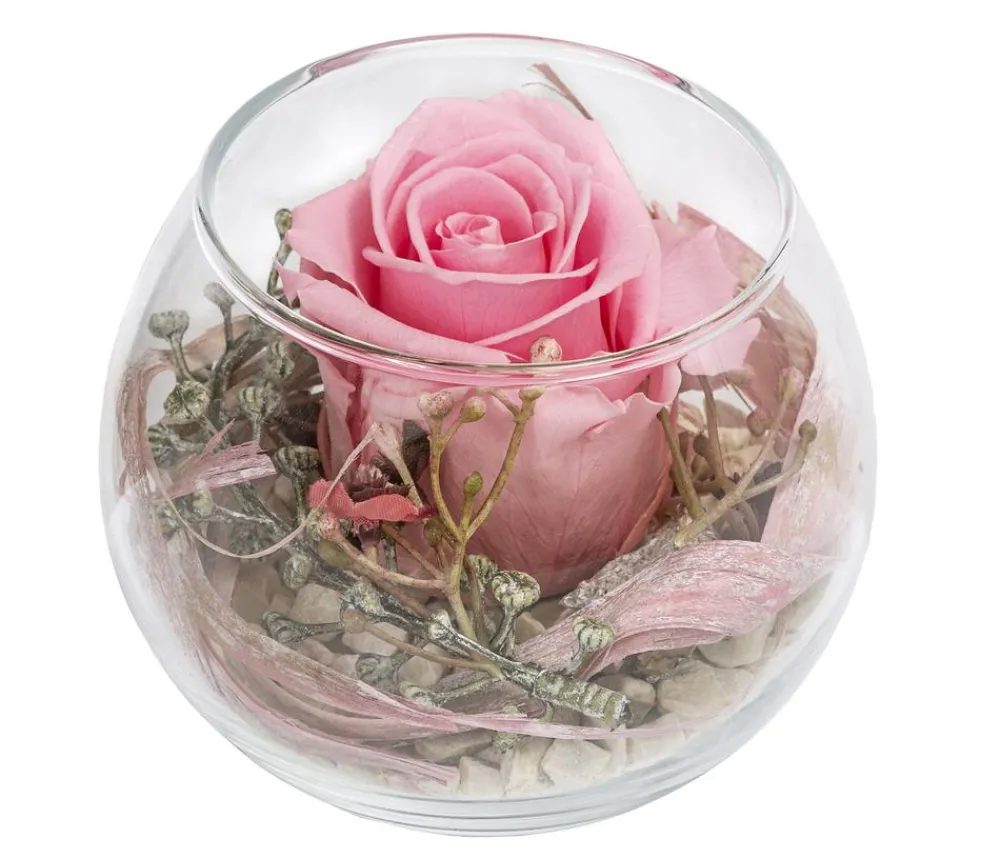 Dehner Kugelglas mit Longlife-Rose Annabell, , ca. Ø10/H10 cm Discount