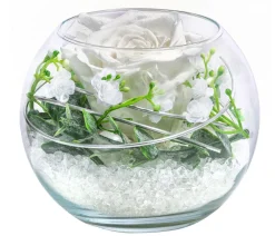 Dehner Konservierte Rosen - Kugelglas mit Longlife-Rose Abby, ca. Ø10 cm Weiß
