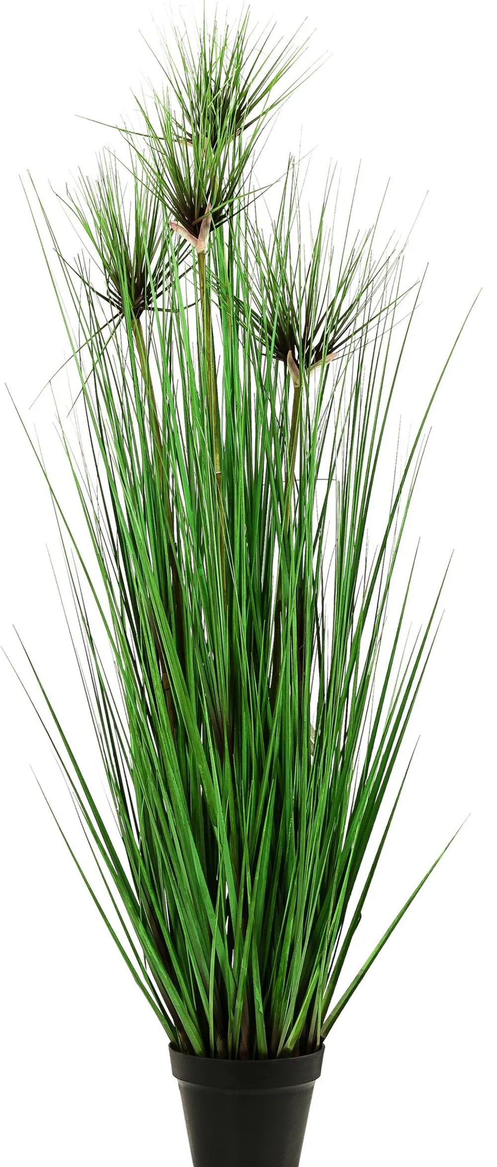 Dehner Kunstpflanze Gras Grün