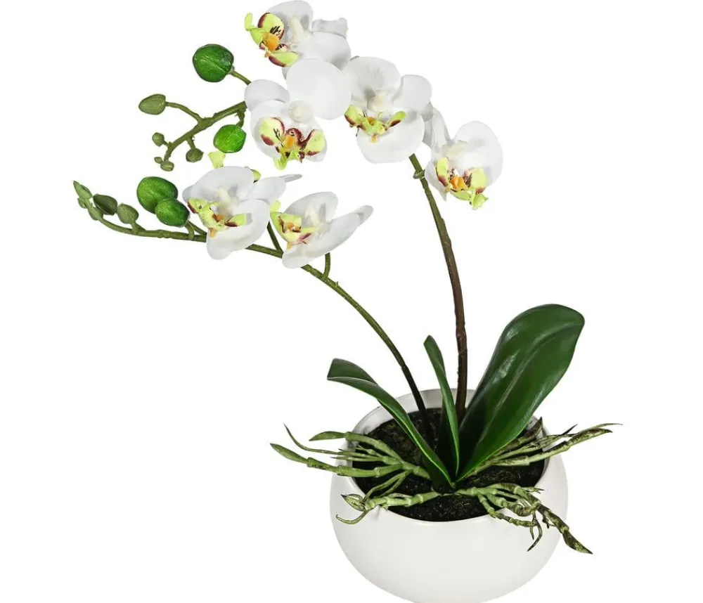 Dehner Kunstpflanzen > Kunstpflanze Mini-Orchidee Phalaenopsis,