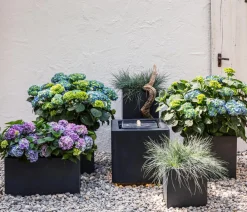 Dehner Blumentöpfe & Übertöpfe - Kunststein-Topf Manchester, quadratisch Dunkelgrau