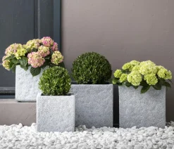 Dehner Kunststein-Topf Rock, quadratisch, Grau Outlet