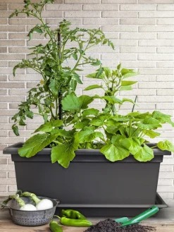 Dehner Pflanzkübel & Blumenkästen > Kunststoff-Blumenkasten Magnus, rechteckig. ca. B98/H37/T38 cm