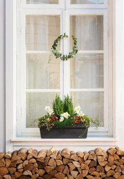 Dehner Pflanzkübel & Blumenkästen - Kunststoff-Blumenkasten Pisa, ca. B60/H20/T20 cm, anthrazit Dunkelgrau