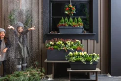 Dehner Pflanzkübel & Blumenkästen - Kunststoff-Blumenkasten Pisa, ca. B60/H20/T20 cm, anthrazit Dunkelgrau