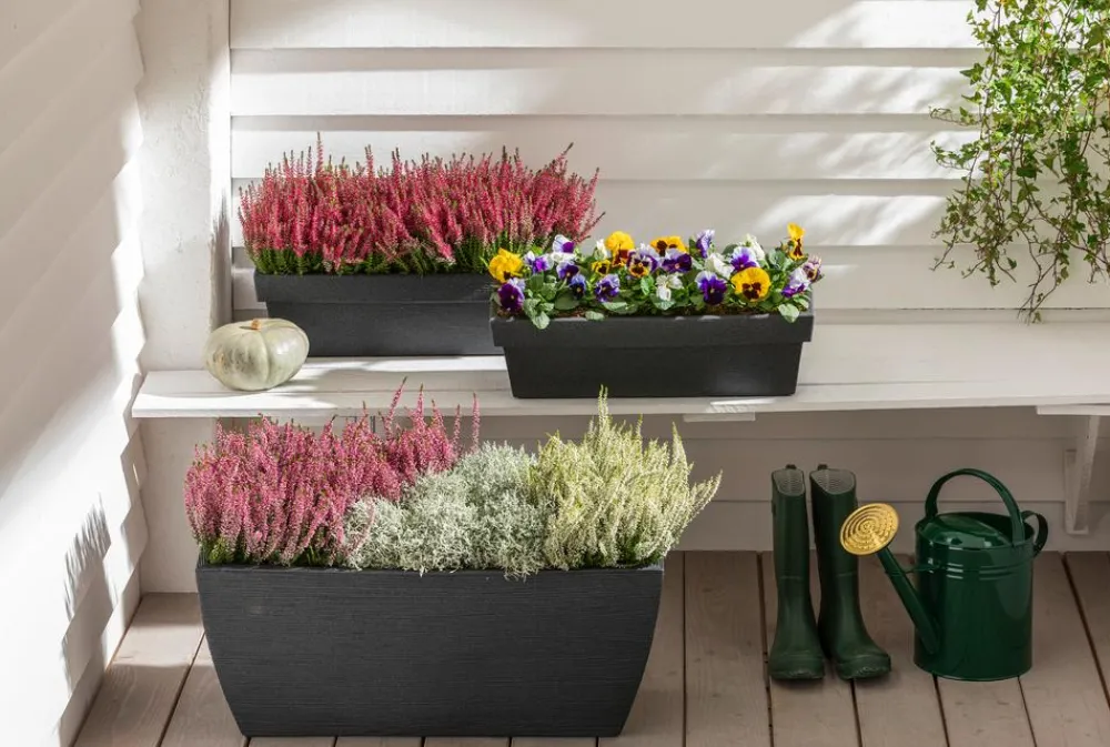 Dehner Pflanzkübel & Blumenkästen - Kunststoff-Blumenkasten Pisa, ca. B60/H20/T20 cm, anthrazit Dunkelgrau