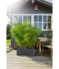 Dehner Pflanzkübel & Blumenkästen|Blumentöpfe & Übertöpfe > Kunststoff-Blumenkübel Palermo, quadratisch