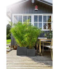 Dehner Pflanzkübel & Blumenkästen|Blumentöpfe & Übertöpfe - Kunststoff-Blumenkübel Palermo, quadratisch Anthrazit