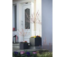 Dehner Pflanzkübel & Blumenkästen|Blumentöpfe & Übertöpfe - Kunststoff-Blumenkübel Palermo, quadratisch Anthrazit