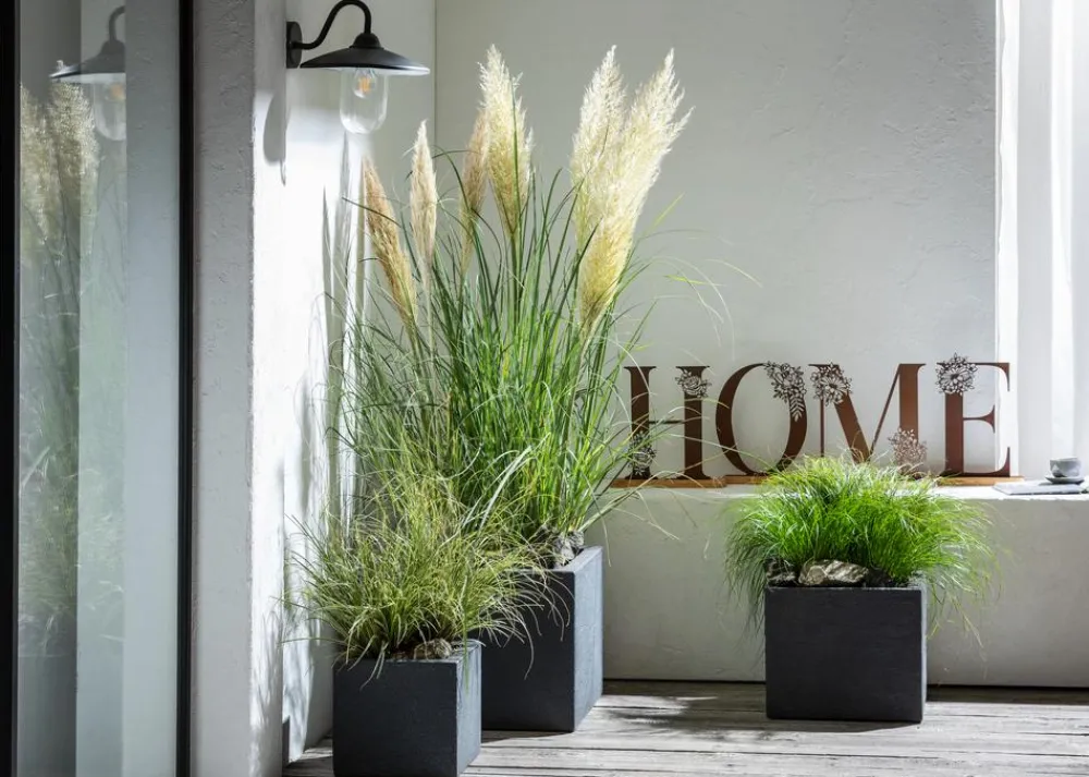 Dehner Pflanzkübel & Blumenkästen|Blumentöpfe & Übertöpfe - Kunststoff-Blumenkübel Palermo, quadratisch Anthrazit
