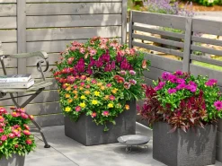 Dehner Pflanzkübel & Blumenkästen|Blumentöpfe & Übertöpfe - Kunststoff-Blumenkübel Palermo, quadratisch Anthrazit
