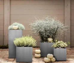 Dehner Pflanzkübel & Blumenkästen|Blumentöpfe & Übertöpfe - Kunststoff-Blumenkübel Palermo, quadratisch Grau