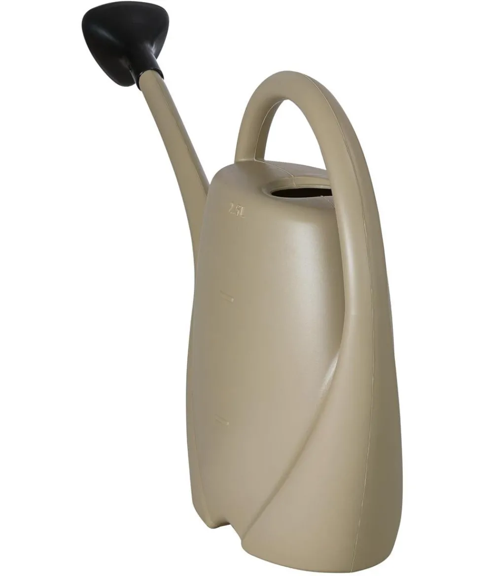 Dehner Gießkannen & Sprühflaschen > Kunststoff-Gießkanne Spring, 2,5 l