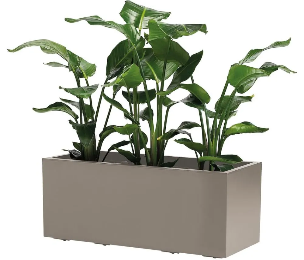 Dehner Pflanzkübel & Blumenkästen > Kunststoff-Kasten Kebe, rechteckig, ca. B100/H40/T40 cm