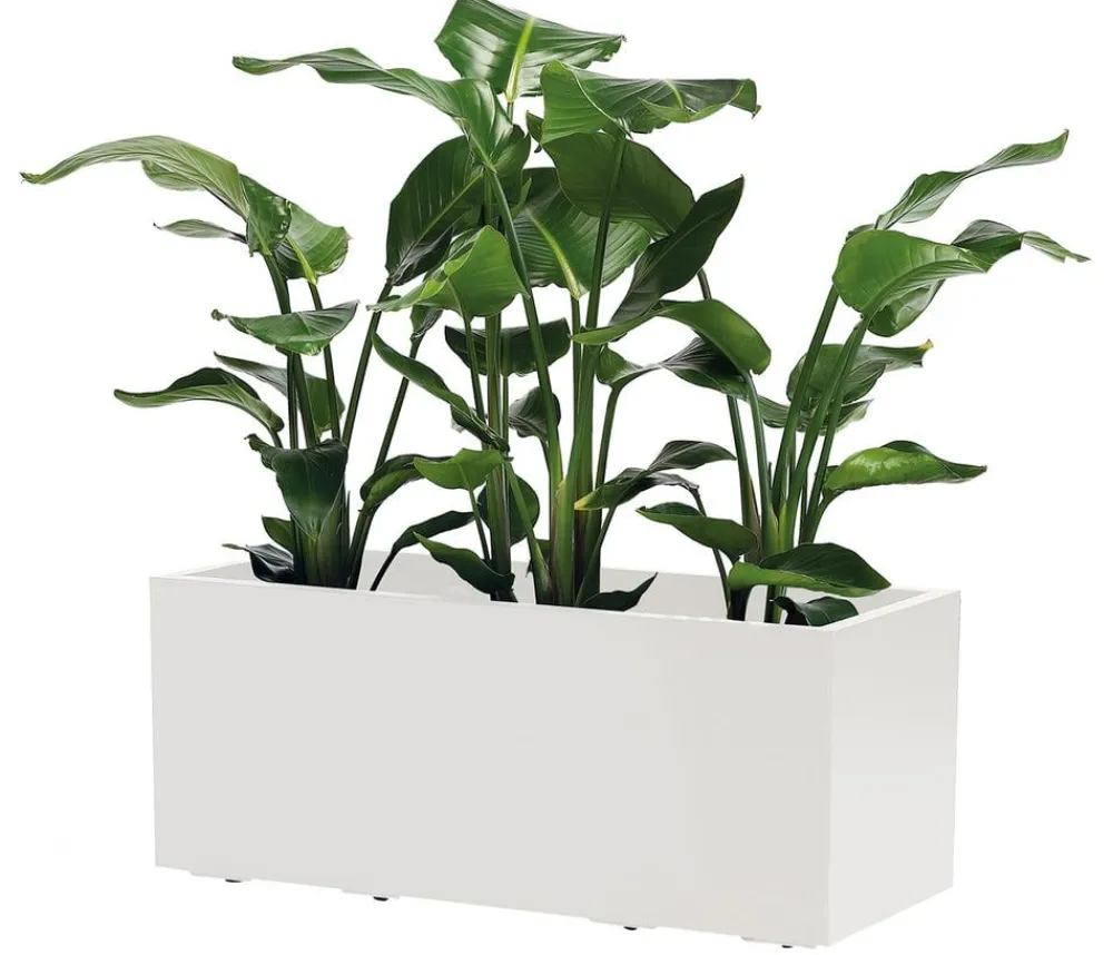 Dehner Pflanzkübel & Blumenkästen > Kunststoff-Kasten Kebe, rechteckig, ca. B100/H40/T40 cm