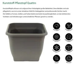 Dehner Blumentöpfe & Übertöpfe > Kunststoff-Pflanztopf Quattro, eckig
