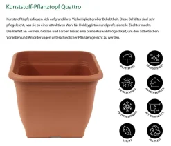 Dehner Kunststoff-Pflanztopf Quattro, eckig Terrakotta