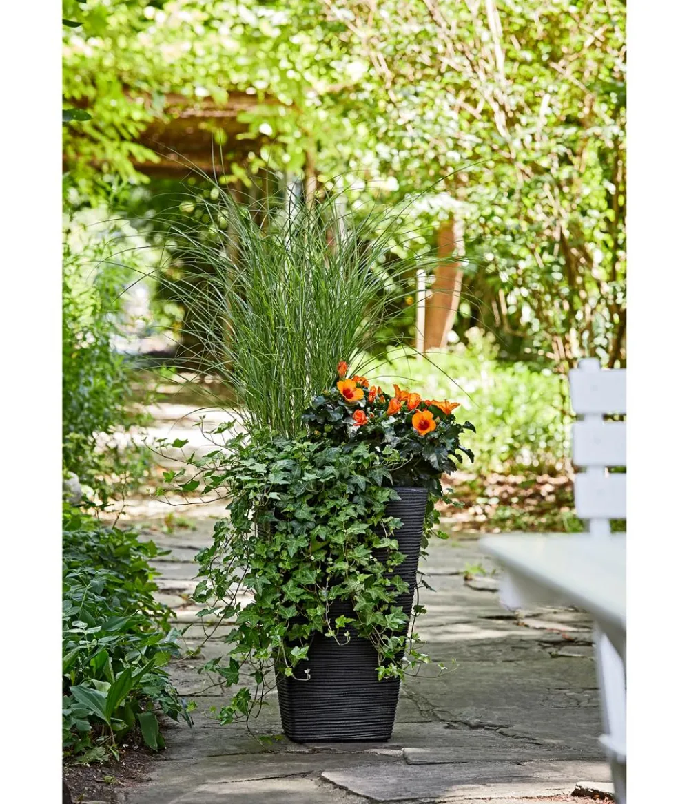 Dehner Vasen|Blumentöpfe & Übertöpfe > Kunststoff-Pflanzvase Capri, konisch, anthrazit, ca. B35/H55/T35 cm