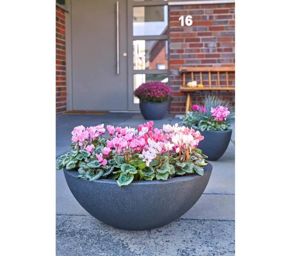Dehner Kunststoff-Schale Miami, rund, anthrazit, ca. Ø52/H20 cm Dunkelgrau Clearance