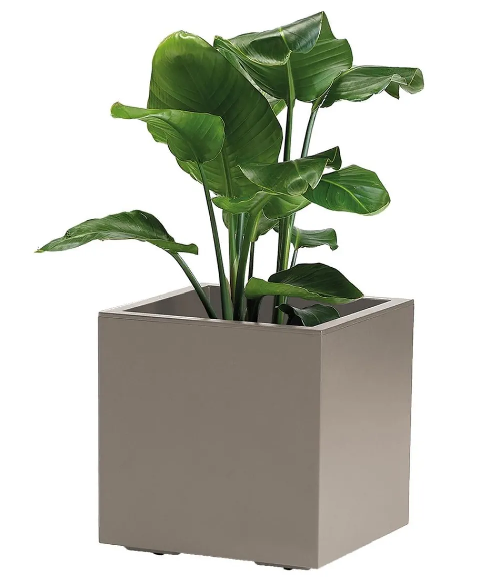 Dehner Blumentöpfe & Übertöpfe > Kunststoff-Topf Kebe, quadratisch, ca. B40/H40/T40 cm
