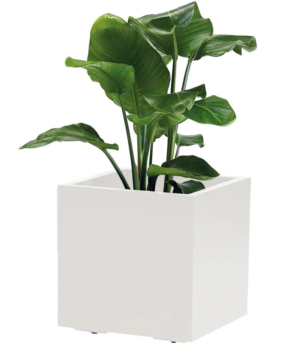 Dehner Blumentöpfe & Übertöpfe > Kunststoff-Topf Kebe, quadratisch, ca. B40/H40/T40 cm