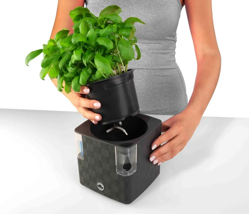 Dehner Kunststoff-Topf Mona, eckig, ca. B14/H14/T14 cm Dunkelgrau Sale