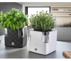 Dehner Kunststoff-Topf Mona, eckig, ca. B14/H14/T14 cm Weiß Discount