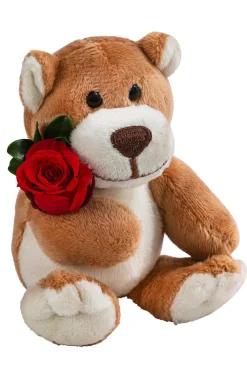 Dehner Konservierte Rosen > Kuschelbär mit Longlife-Rose, ca. B6/H10 cm