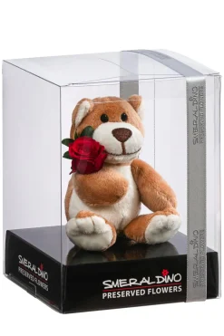Dehner Konservierte Rosen > Kuschelbär mit Longlife-Rose, ca. B6/H10 cm