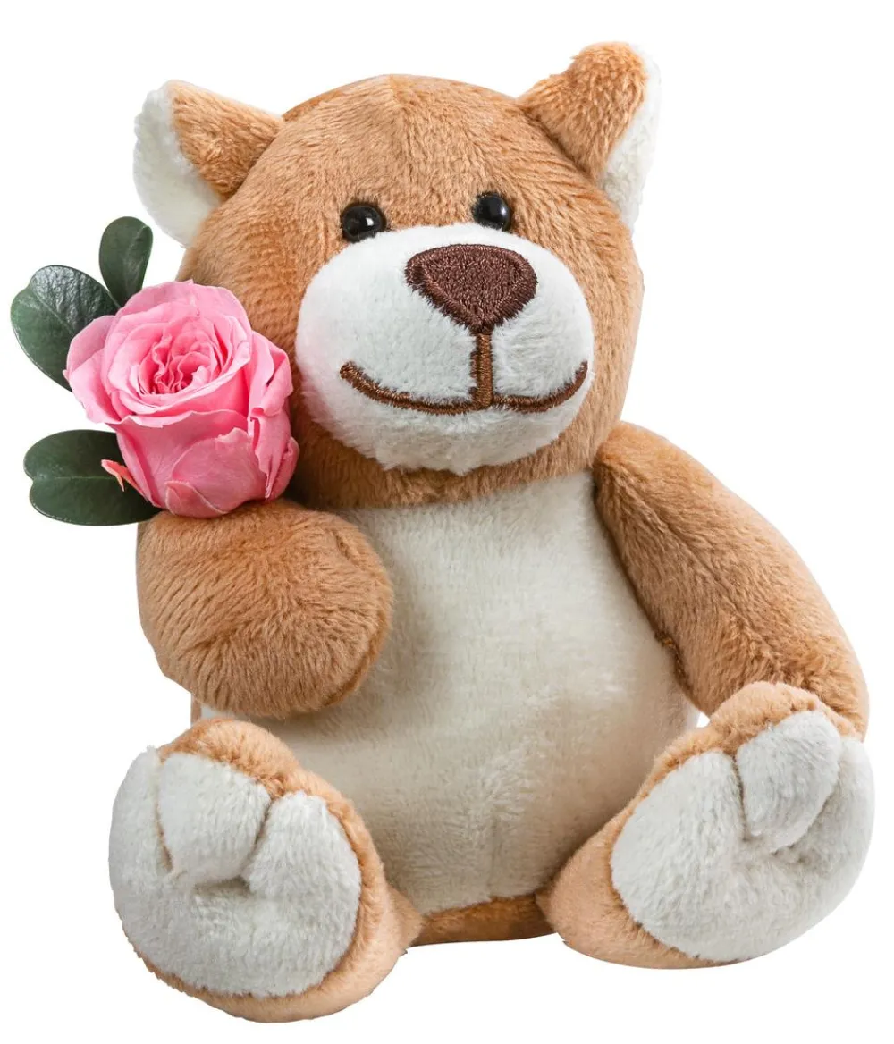 Dehner Kuschelbär mit Longlife-Rose, ca. B6/H10 cm Rosa Sale