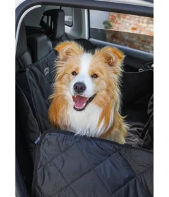 Dehner Lieblinge Mehr Transport & Unterwegs|Hundedecken > Autoschondecke Drive, ca. B137/T147 cm