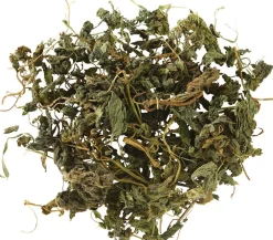 Dehner Lieblinge Brennnessel, 80 g Hot
