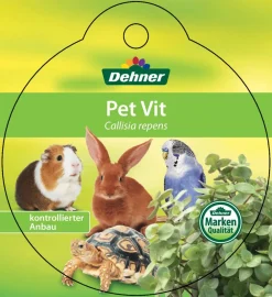 Dehner Lieblinge Vogelfutter & Snacks|Reptilienfutter > Callisie 'PetVit'