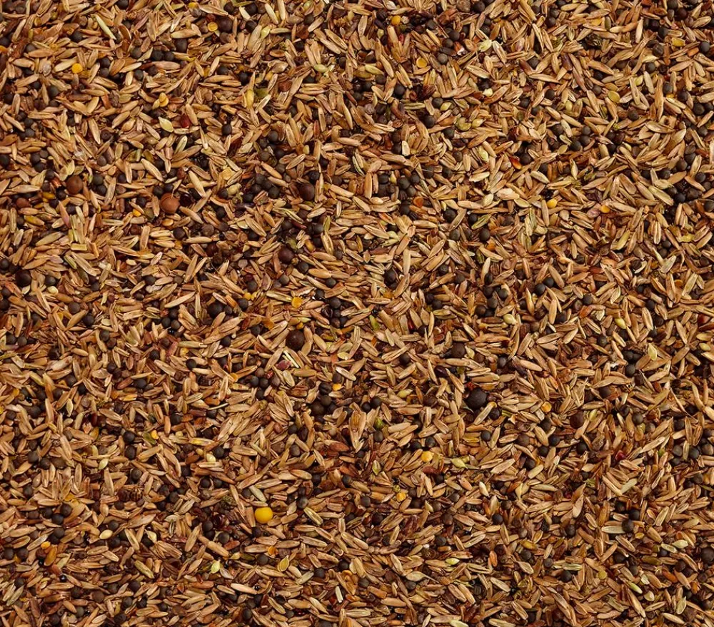 Dehner Lieblinge Kleintierfutter|Vogelfutter & Snacks - Feinsämereien, 500 g