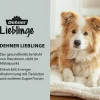 Dehner Lieblinge Ungezieferschutz|Hundepflege & Hygiene - Floh- und Zeckenschutz Spot On für mittelgroße Hunde, 4 x 2ml