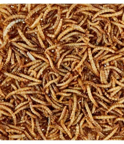 Dehner Lieblinge Nagersnacks - Getrocknete Mehlwürmer