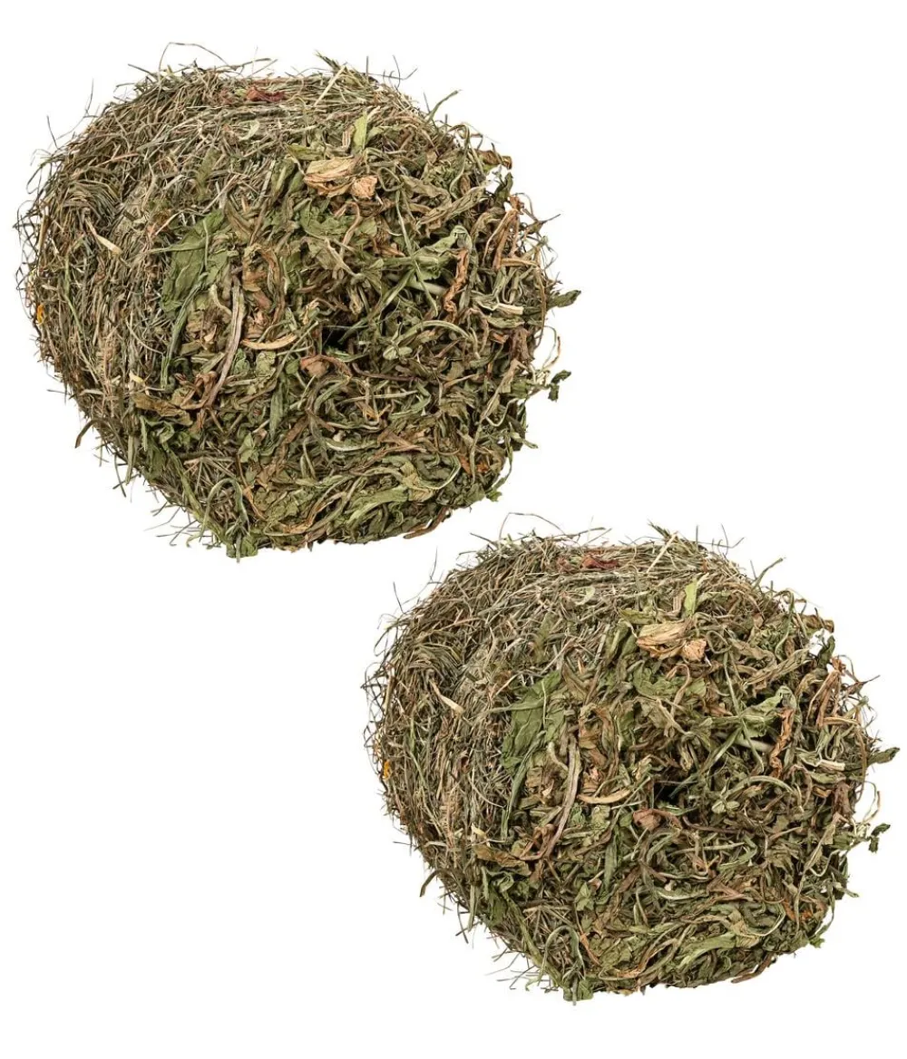 Dehner Lieblinge Heu - Heuballen im Karton, 2 x 400 g