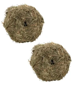 Dehner Lieblinge Heu > Heuballen Natur im Karton, 2 x 400 g