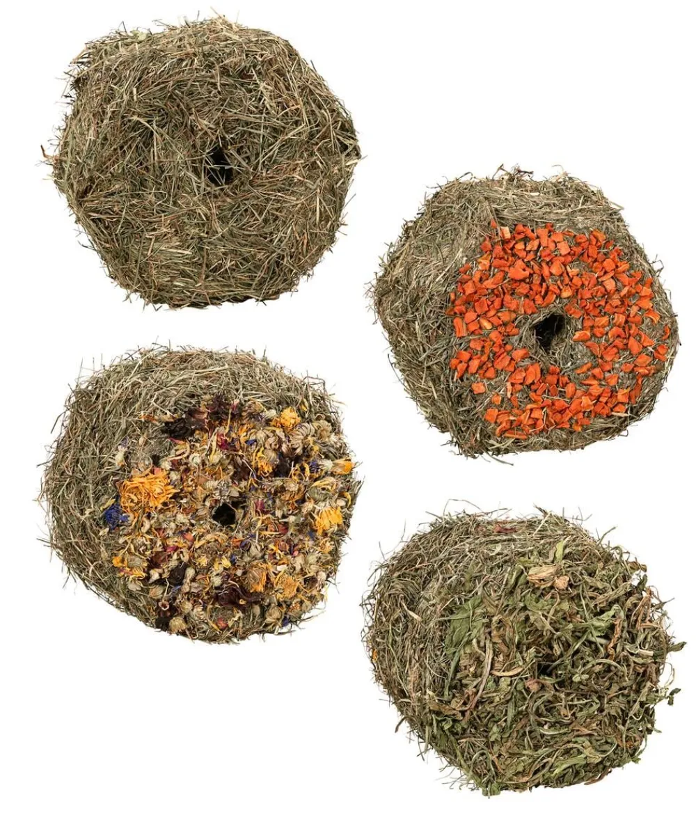 Dehner Lieblinge Heuballen Probierset, 4 x 400 g Online