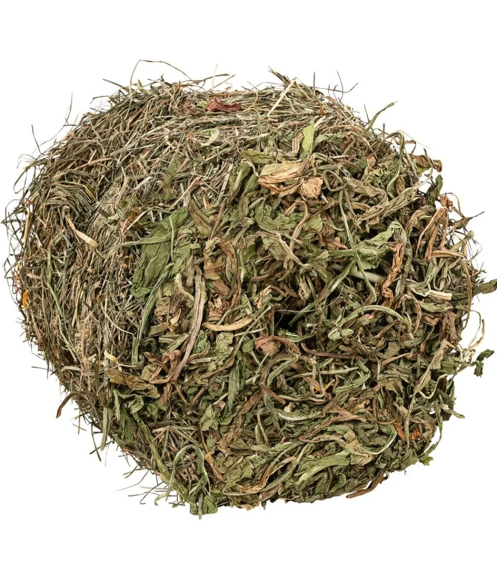 Dehner Lieblinge Heuballen Probierset, 4 x 400 g Online