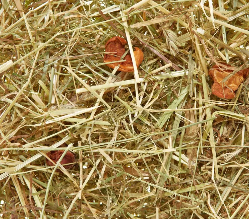 Dehner Lieblinge Heu > Heu vom Land mit Apfelstücken, 500 g