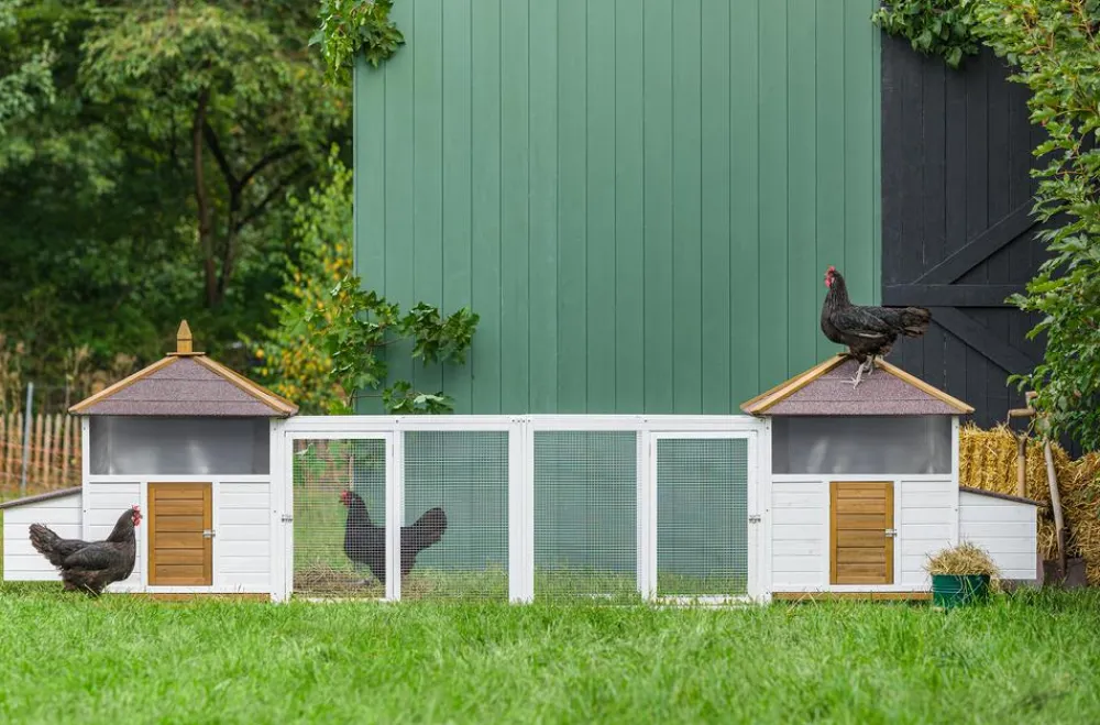 Dehner Lieblinge Bauernhof Zubehör|Hühnerställe > Hühnerstall Florenz, /braun, ca. B122,3/H120,7/T91,7 cm