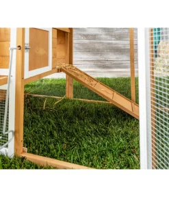 Dehner Lieblinge Bauernhof Zubehör|Hühnerställe > Hühnerstall Chicken House, ca. B247/H103/T75 cm