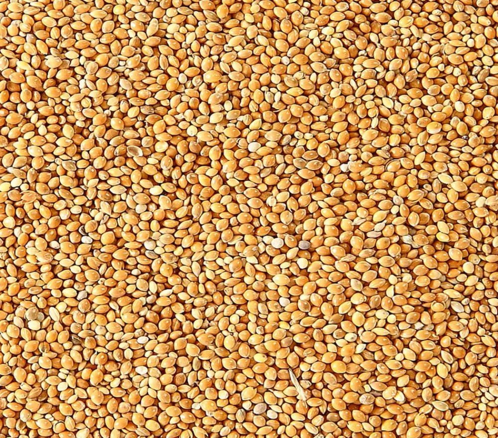 Dehner Lieblinge Vogelfutter & Snacks > Honigfutter für Sittiche und Exoten, 20 g