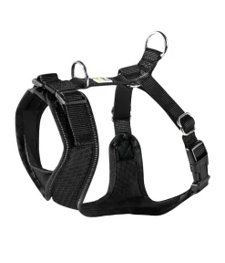 Dehner Lieblinge Hundegechirr Pyrit Schwarz Sale