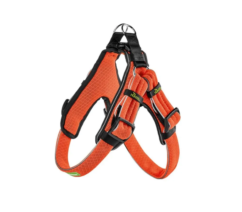 Dehner Lieblinge Hundegechirr Zirkon Orange Online