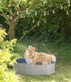 Dehner Lieblinge Hundespielzeug - Hundepool Water Fun, ca. Ø120/H30 cm Dunkelgrau