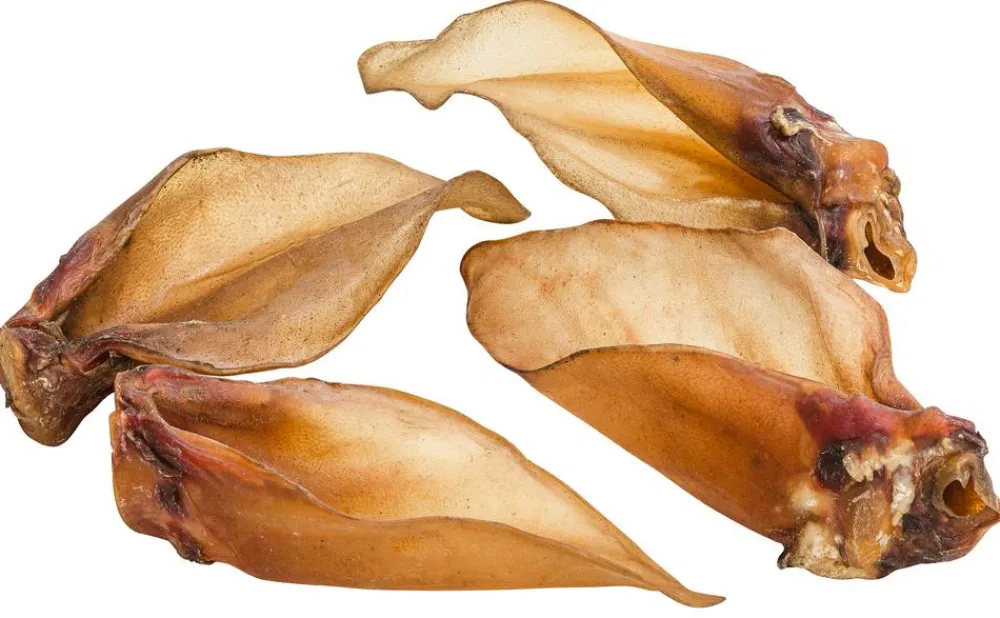 Dehner Lieblinge Hundeleckerlies > Hundesnack Ganze Rinderohren mit Muschel, 660 g